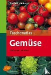 Mattheus-Staack, Elke - Taschenatlas Gemüse