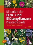 Haeupler, Henning, Muer, Thomas - Bildatlas der Farn- und Blütenpflanzen Deutschlands