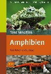 Henkel, Friedrich Wilhelm, Schmidt, Wolfgang - Taschenatlas Amphibien