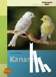 Bielfeld, Horst - Kanarien