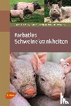 Harlizius, Jürgen, Hennig-Pauka, Isabel - Farbatlas Schweinekrankheiten