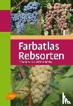 Ambrosi, Hans, Hill, Bernd H. E., Maul, Erika, Rühl, Ernst H. - Farbatlas Rebsorten