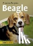 Schmitt, Annette - Beagle