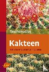 Berger, Markus - Taschenatlas Kakteen