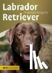 Schmitt, Annette - Labrador Retriever