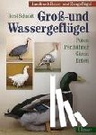Schmidt, Horst - Groß- und Wassergeflügel