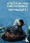 Hölzinger, Jochen, Bauer, Hans-Günther - Die Vögel Baden-Württembergs Band 2.0 - Nicht-Singvögel1.1, Nandus bis Flamingos