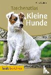 Laukner, Anna - Taschenatlas Kleine Hunde
