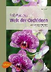 Röllke, Lutz - Fabelhafte Welt der Orchideen