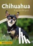 Schmitt, Annette - Chihuahua