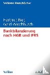 Bieg, Hartmut, Waschbusch, Gerd - Bankbilanzierung nach HGB und IFRS