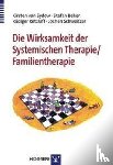 Sydow, Kirstin von, Beher, Stefan, Retzlaff, Rüdiger, Schweitzer-Rothers, Jochen - Die Wirksamkeit der Systemischen Therapie/Familientherapie