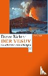 Richter, Dieter - Der Vesuv