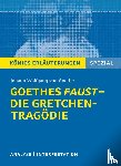 Goethe, Johann Wolfgang von, Bernhardt, Rüdiger - Goethes Faust - Die Gretchen-Tragödie.