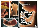 Kiworr, Michael - Neun Monate bis zur Geburt