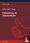 Schwartmann, Rolf, Hentsch, Christian-Henner - Falltraining im Urheberrecht