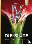Heß, Dieter - Die Blüte
