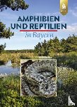 Andrä, Eberhard, Aßmann, Otto, Dürst, Thomas, Hansbauer, Günter - Amphibien und Reptilien in Bayern