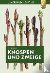 Schulz, Bernd - Knospen und Zweige