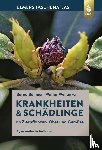 Böhmer, Bernd, Wohanka, Walter - Krankheiten & Schädlinge an Zierpflanzen, Obst und Gemüse