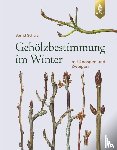 Schulz, Bernd - Gehölzbestimmung im Winter