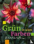 Bellamy, Lucy - Grün in allen Farben