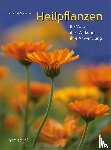 Sommer, Markus - Heilpflanzen