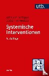 Schlippe, Arist von, Schweitzer, Jochen - Systemische Interventionen