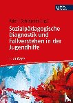  - Sozialpädagogische Diagnostik und Fallverstehen in der Jugendhilfe