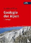Pfiffner, O. Adrian - Geologie der Alpen