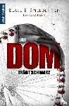 Spieldenner, Klaus E. - Der Dom trägt Schwarz
