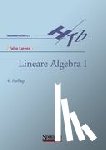Lorenz, Falko - Lineare Algebra I