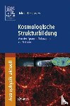 Hetznecker, Helmut - Kosmologische Strukturbildung