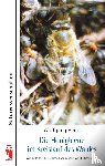 Voigt, Wolfgang - Die Honigbiene im Kreislauf des Waldes - Wie die Imkerei zur Gesunderhaltung der Wälder beitragen kann