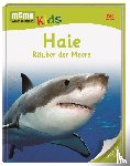  - memo Kids. Haie