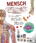  - Wissen - Mensch