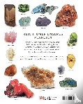 Bonewitz, Ronald L. - Steine & Mineralien
