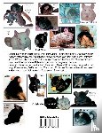Cremer, Sabine - Das grosse Chinchilla-Handbuch