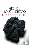Houellebecq, Michel - Ein bisschen schlechter