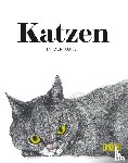 Hyland, Angus, Roberts, Caroline - Katzen in der Kunst