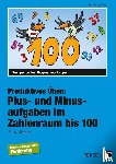 Witzel, Hans-Georg - Plus- und Minusaufgaben im Zahlenraum bis 100
