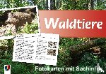 Jung, Heike - Waldtiere - Fotokarten mit Sachinfos