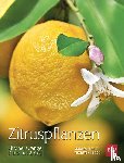 Klock, Monika, Klock, Peter - Zitruspflanzen