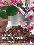 Pinske, Jörn - So pflege ich meine Orchideen