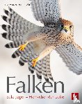 Lohmann, Michael - Falken