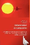 Turon, Albert, Camanho, Pedro, Costa, Josep - Delamination in Composites