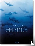 Nelson, Arty, Kock, Dr. Alison, Cousteau, Jr. - Michael Muller. Sharks