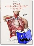 Sick, Henri, Le Minor, Jean-Marie - Bourgery. Atlas of Human Anatomy and Surgery - Atlas of Human Anatomy and Surgery