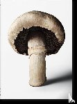 The Gourmand - The Gourmand's Mushroom. A Collection of Stories & Recipes