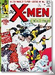 Nicieza, Fabian - Marvel Comics Library. X-Men. Vol. 1. 1963–1966